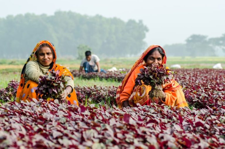 539c5f75-two-women-collect-leafy-vegetables-in-khulna-bangladesh-f-khan-ifpri